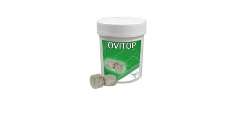 Ovi-top