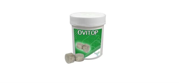 Ovi-top