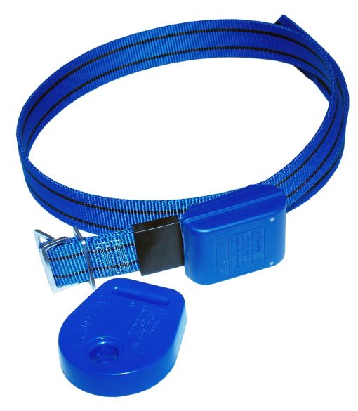 Hálsband