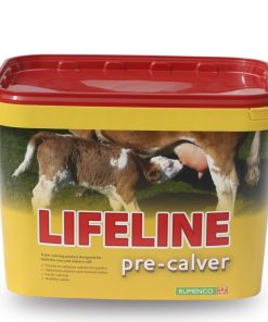 Lifeline Geldstöðustampur