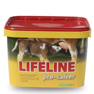 Lifeline Geldstöðustampur