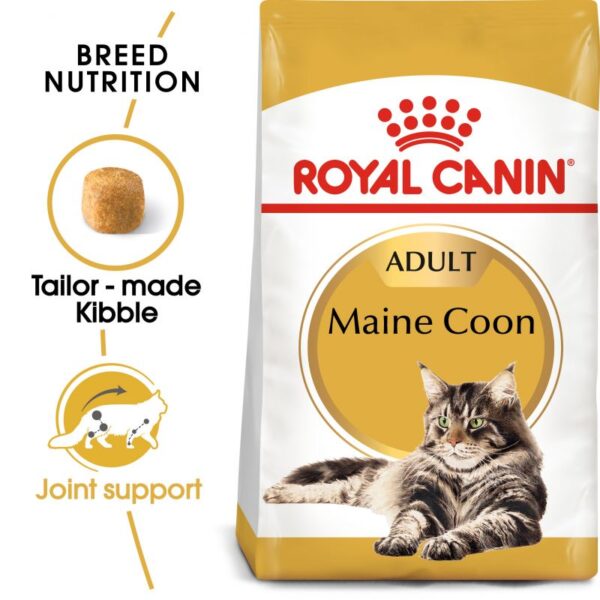 Royal Canin kattamatur Maine coon