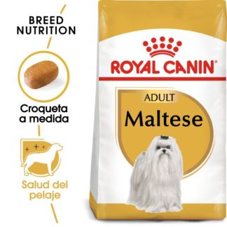 Hundafóður