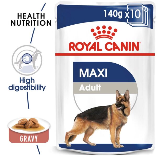 Royal Canin Maxi adult blautmatur