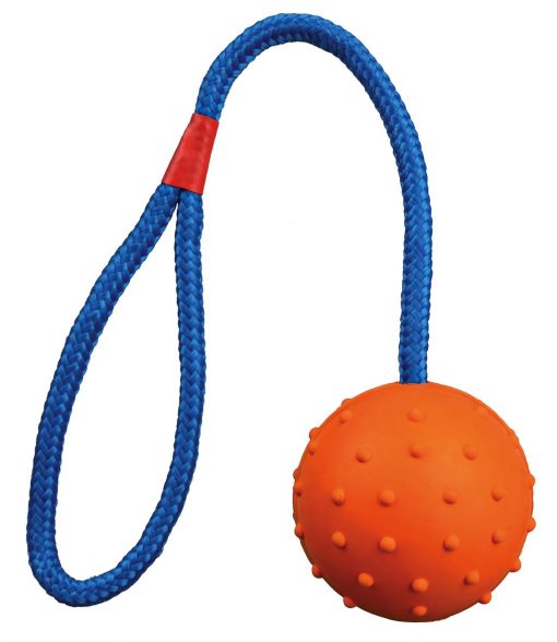 Bolti í bandi
