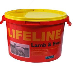 Lifeline lömb og ær