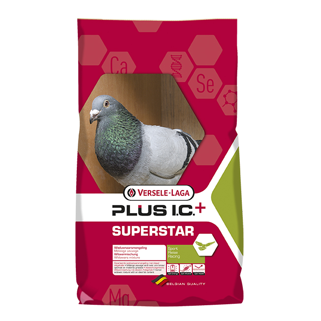 Dúfnafóður Superstar Plus IC+ (20kg)