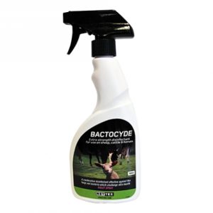 Bactocyde 500ml