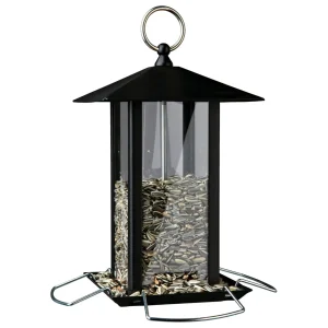 Smáfuglafóðurskammtari ferhyrndur