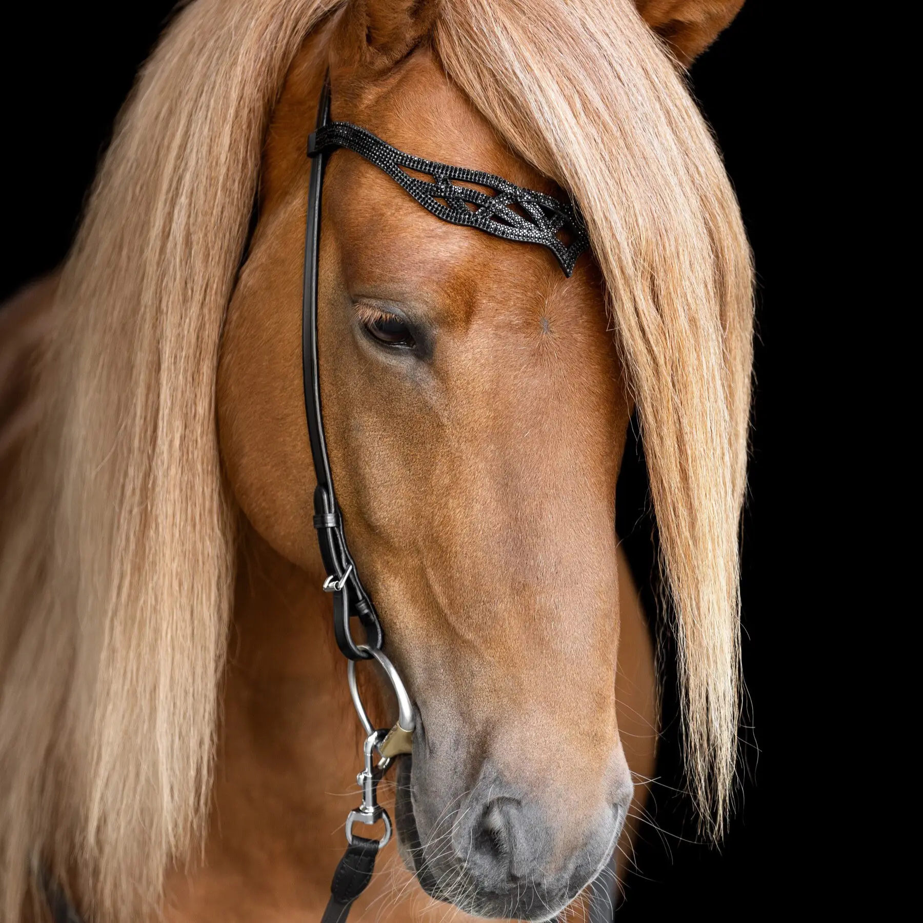 Höfuðleður Heritage B - Lava - Image 3