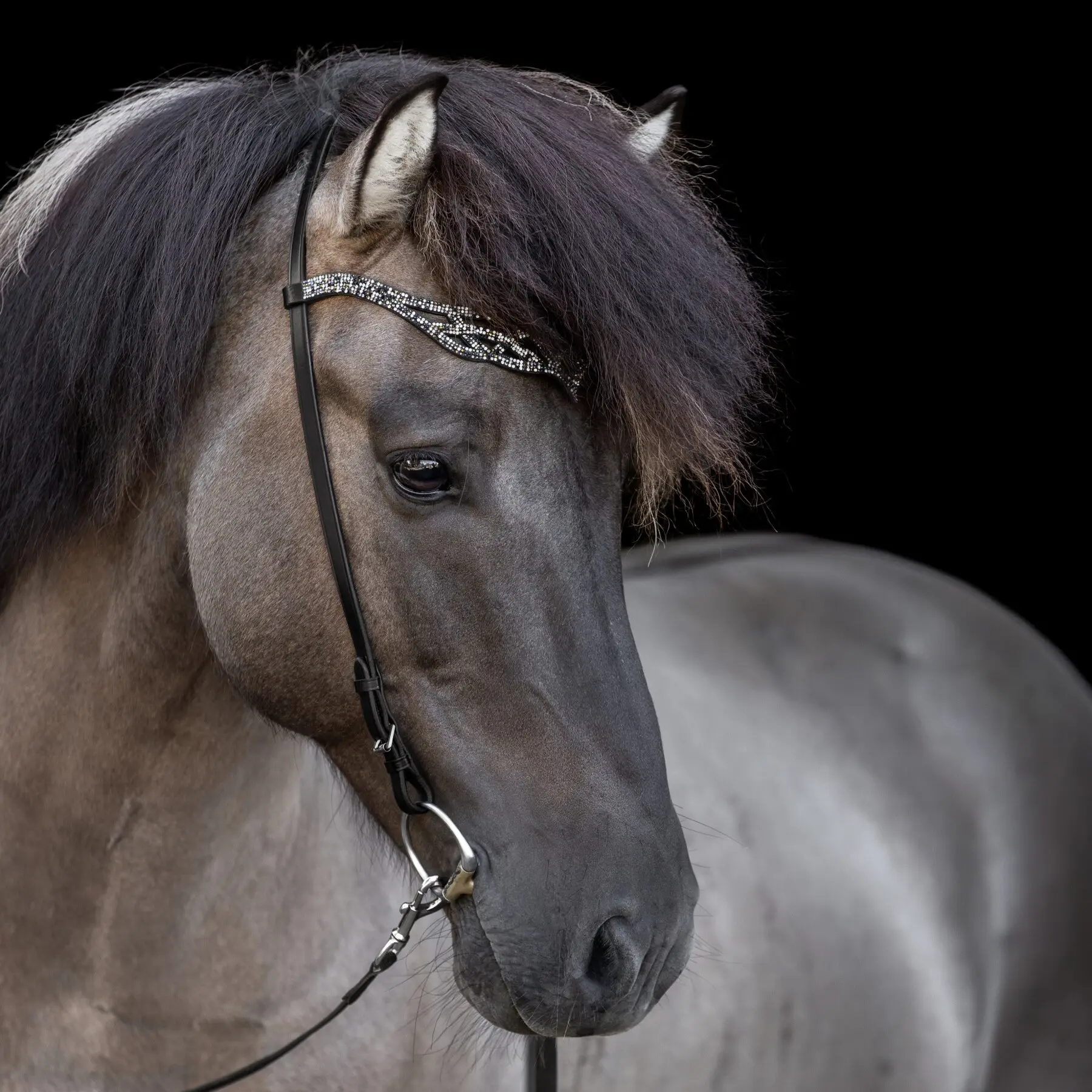 Höfuðleður Heritage B - Fire and Ice - Image 4