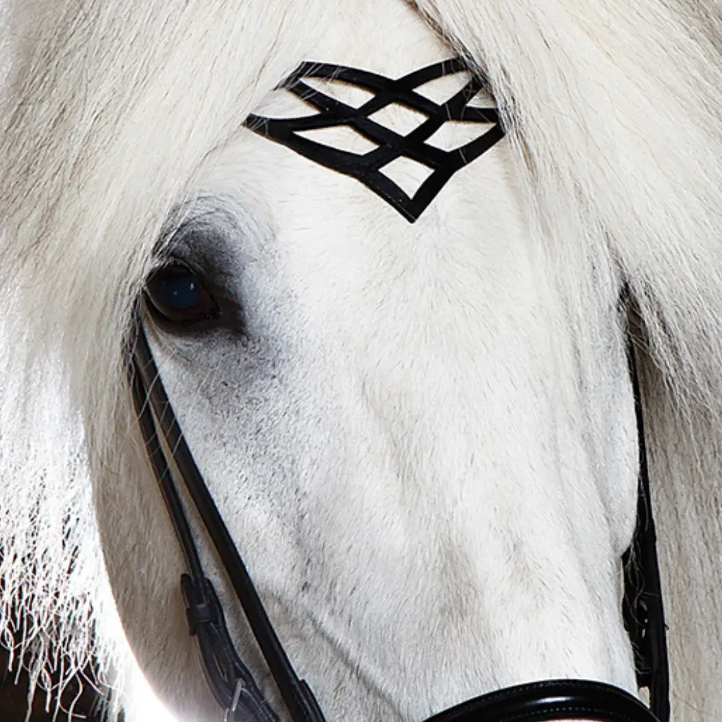 Höfuðleður Heritage C - Image 2