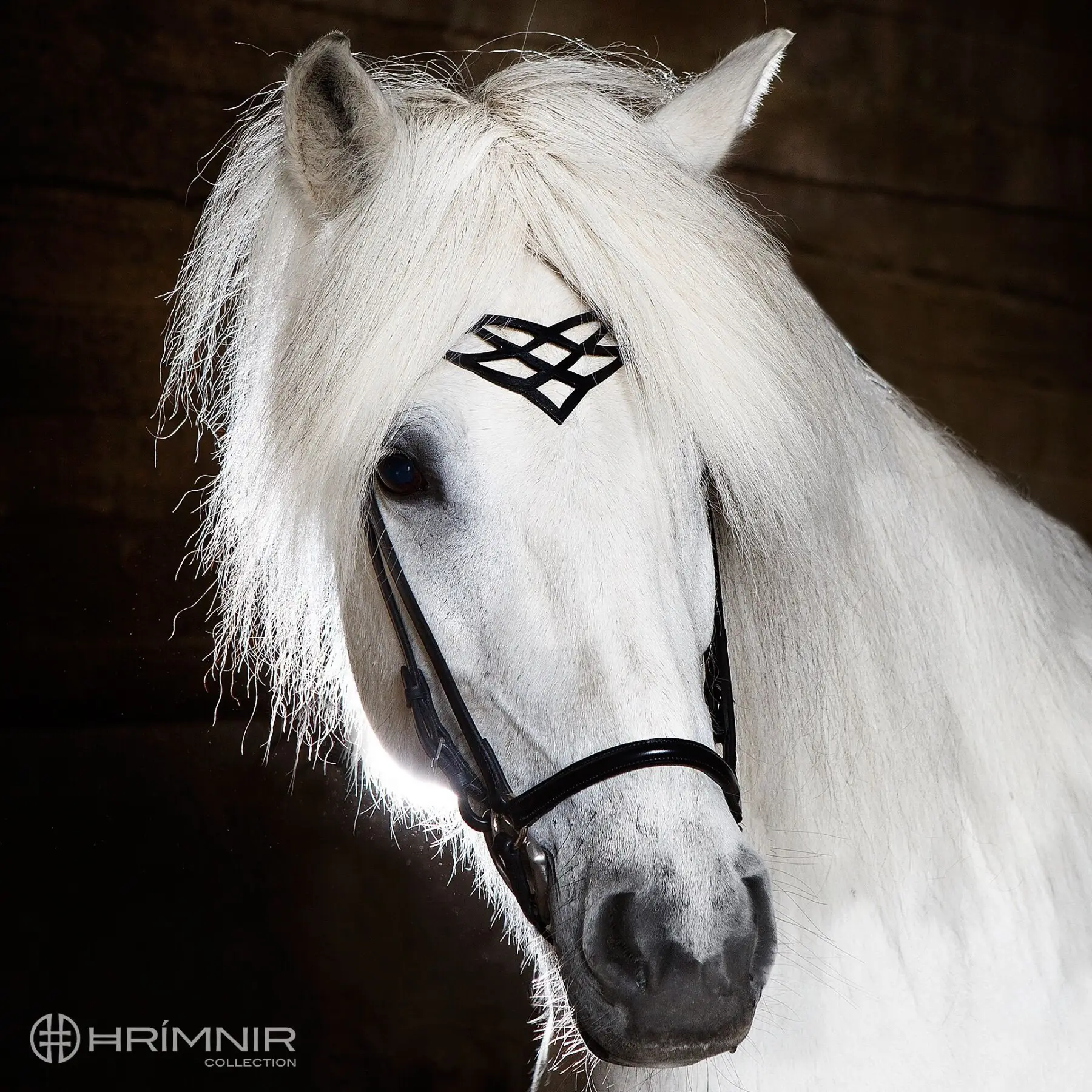 Höfuðleður Heritage C - Image 4