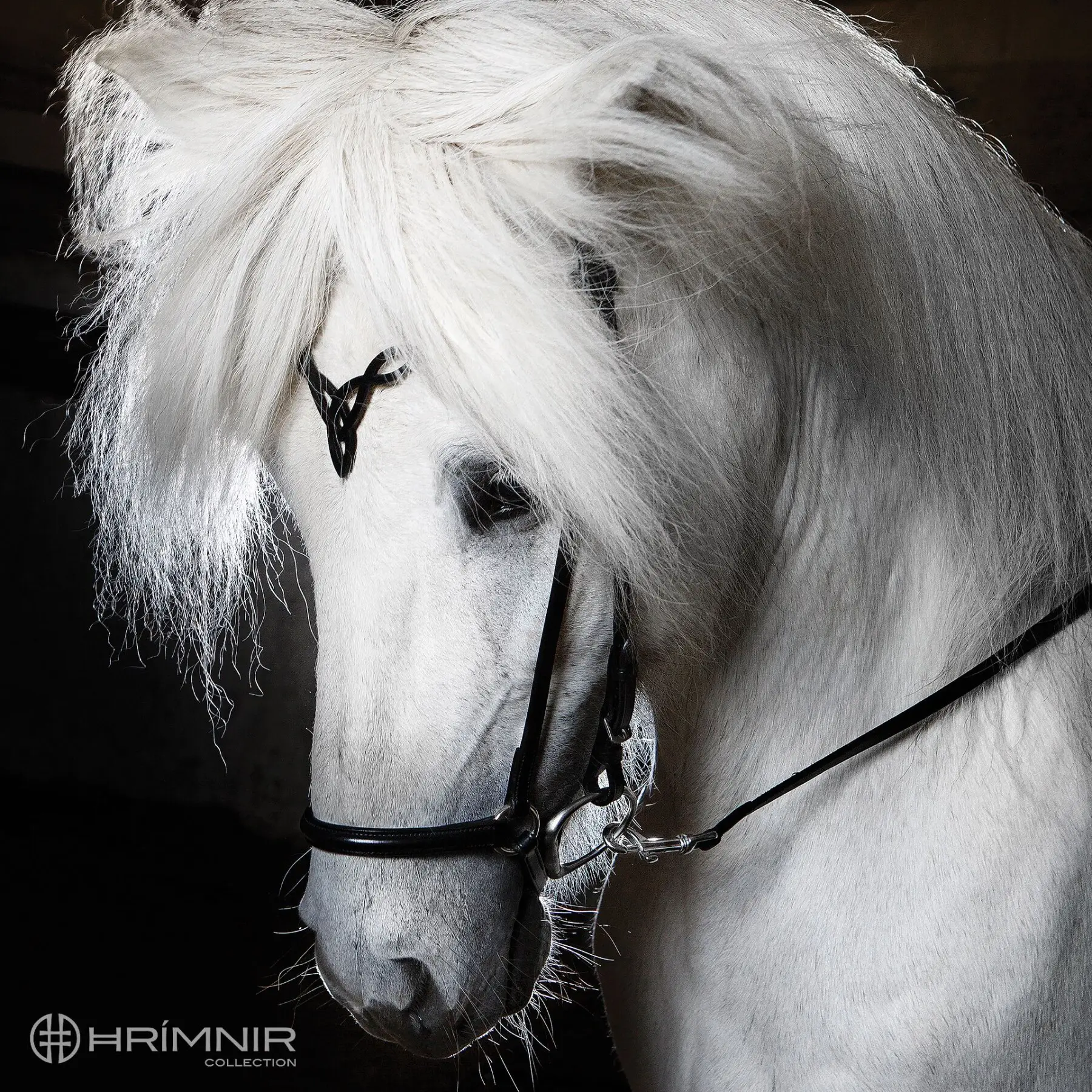 Höfuðleður Heritage D - Image 3