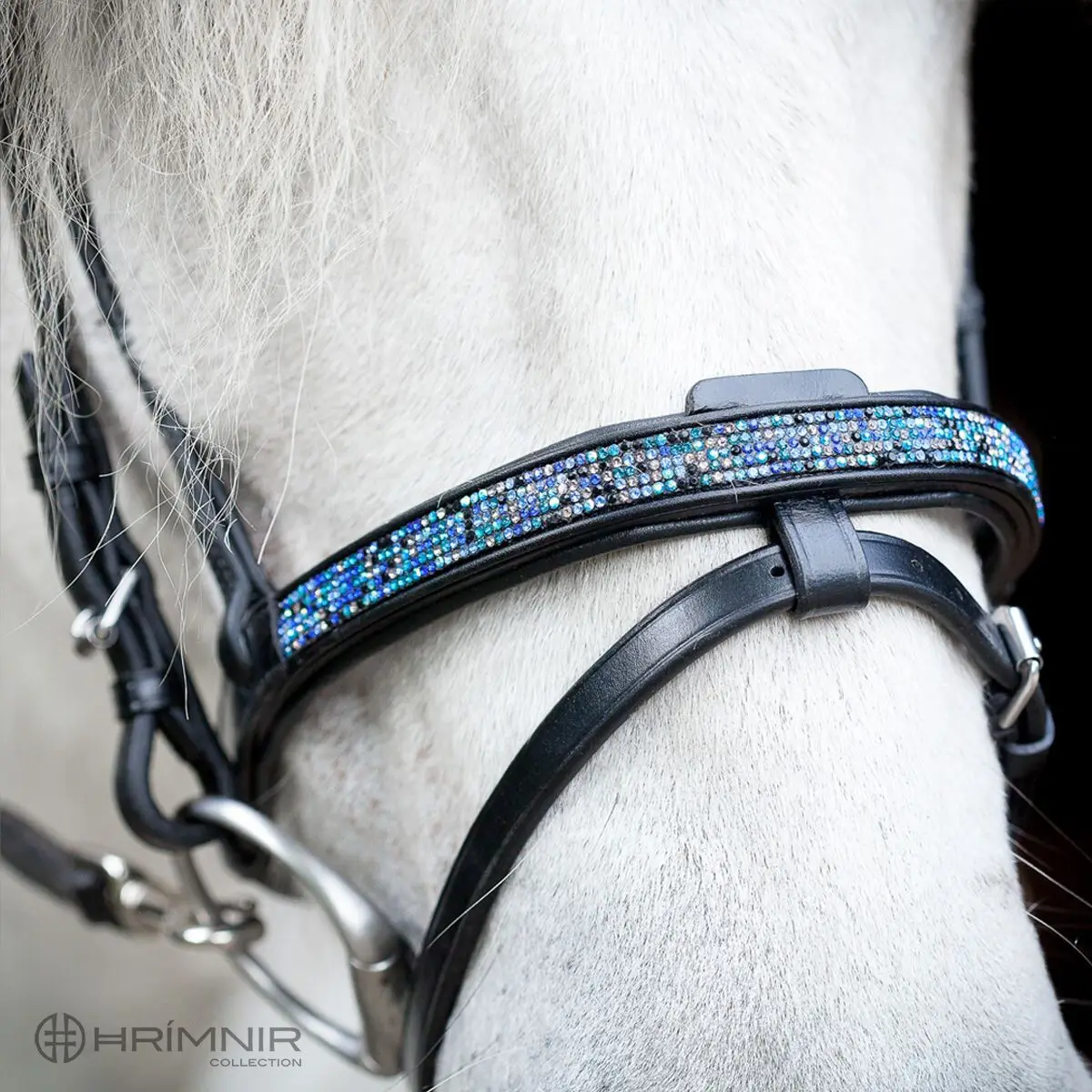 Enskur nasamúll m/skáreim - BlueLagoon - Image 2