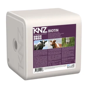 KNZ Biotin 10 KG.