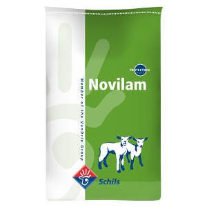 Lambamjólk 10kg Schils