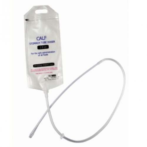 CREATOR: gd-jpeg v1.0 (using IJG JPEG v62), quality = 100