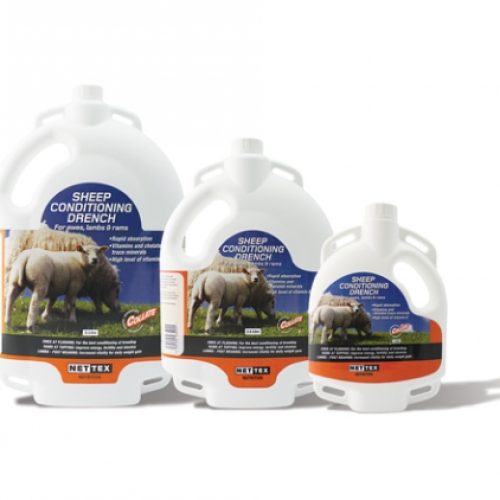 CREATOR: gd-jpeg v1.0 (using IJG JPEG v62), quality = 100