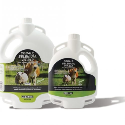 CREATOR: gd-jpeg v1.0 (using IJG JPEG v62), quality = 100