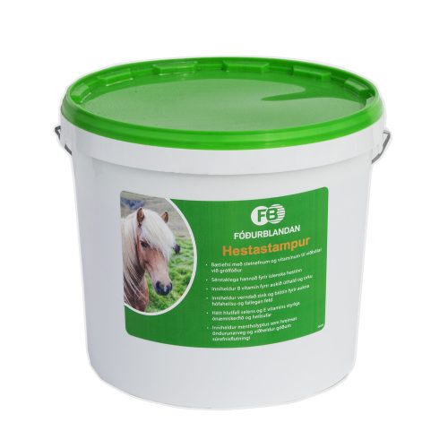 hestastampur-1-scaled-1.jpg