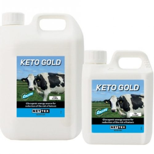 CREATOR: gd-jpeg v1.0 (using IJG JPEG v62), quality = 100