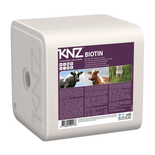 knz-biotin-steinn.webp
