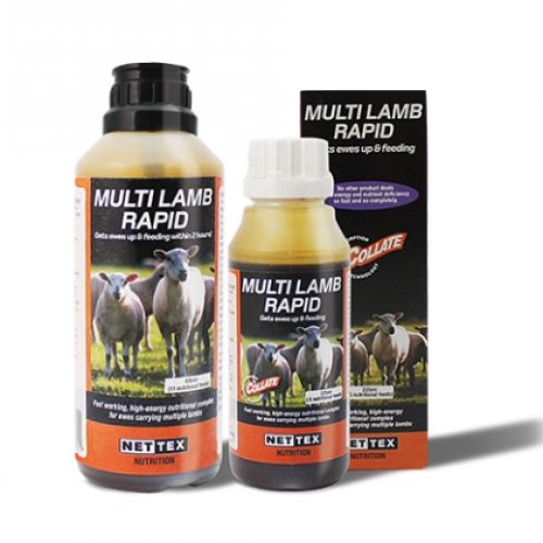 CREATOR: gd-jpeg v1.0 (using IJG JPEG v80), quality = 100